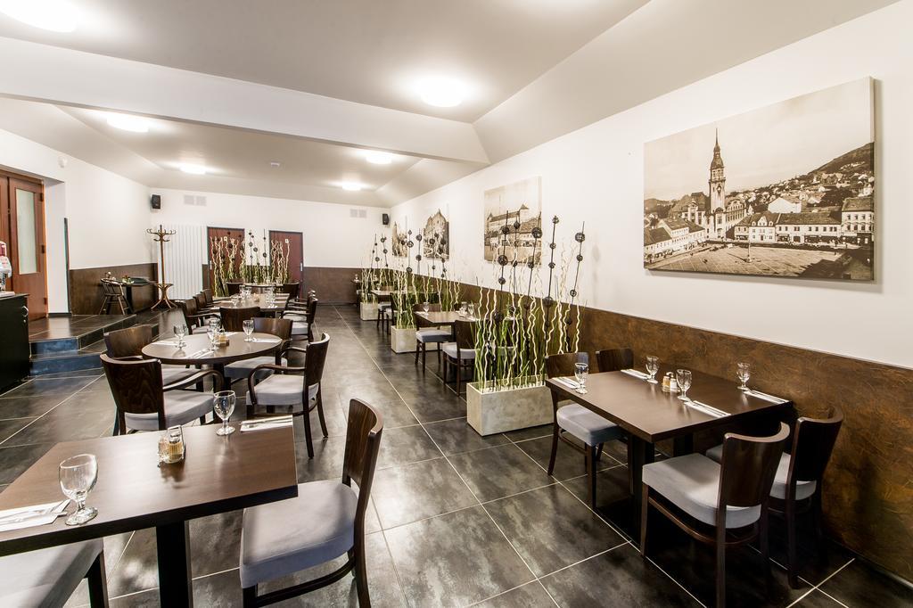 Hotel U Lva Билина Экстерьер фото